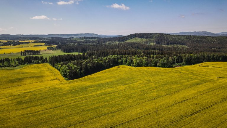 Główny Szlak Sudecki