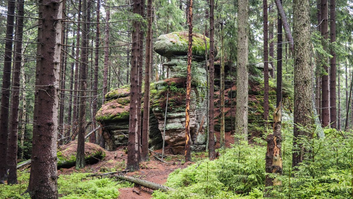 Main Sudetes Trail (stage 11): Wambierzyce - Kudowa Zdrój - Pin Your 