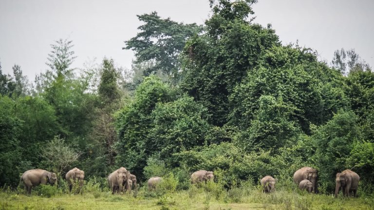 Kui Buri National Park, Thailand