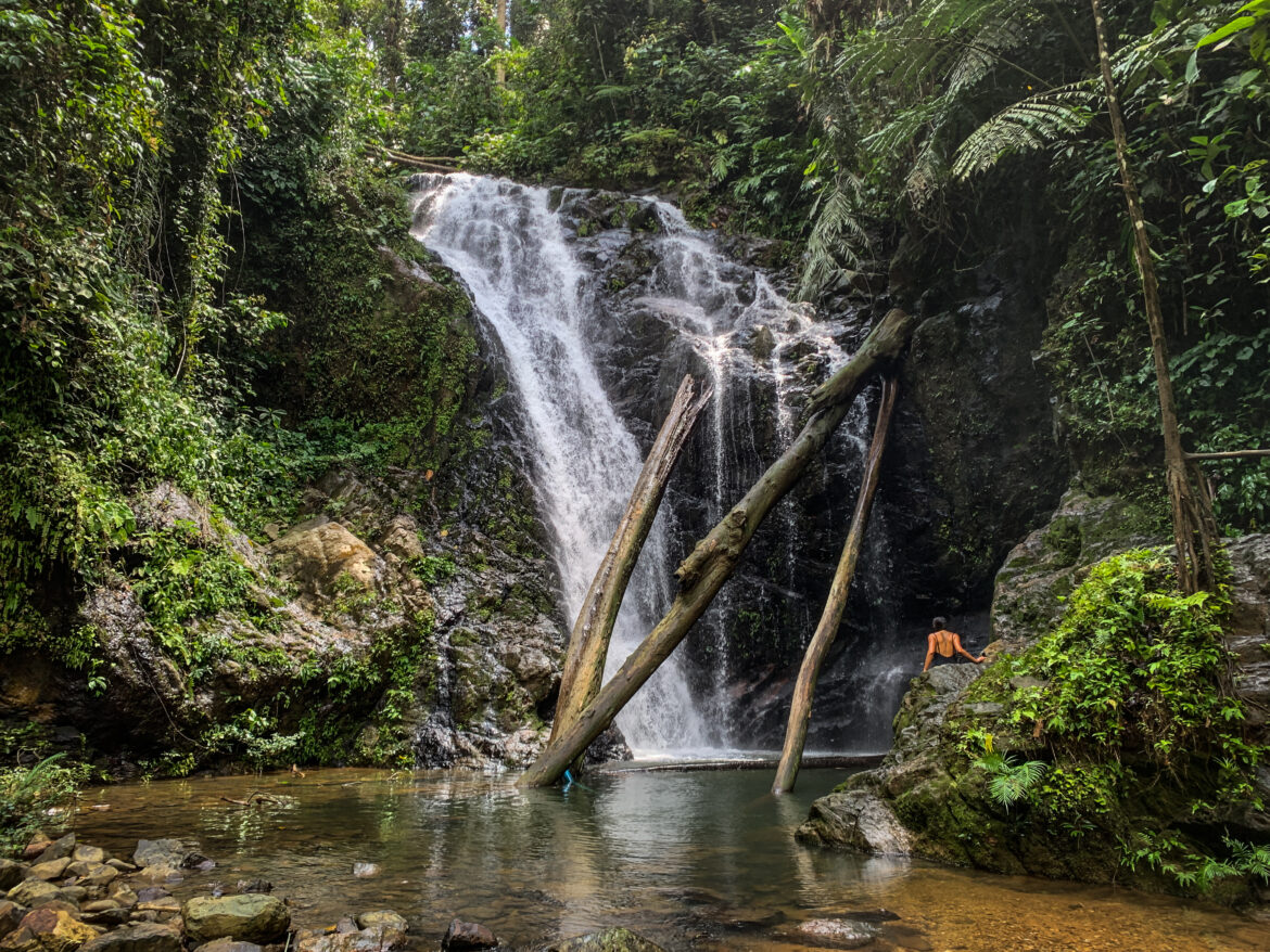 Tawau: a great day trip to rainforest - Pin Your Footsteps - Travel Blog