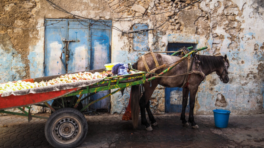 Safi, Morocco