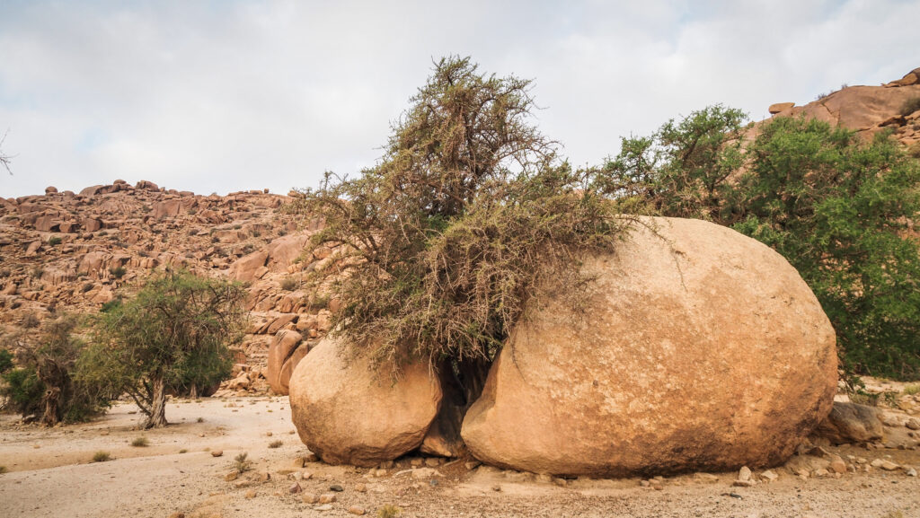 Tafraoute, Morocco