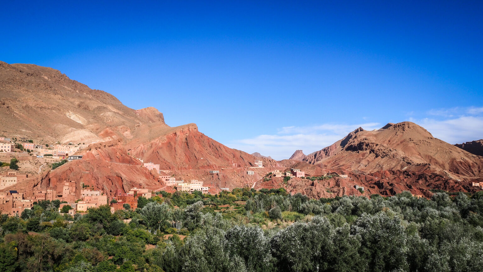 Rose Valley: a visit to Morocco's floral paradise - Pin Your Footsteps ...