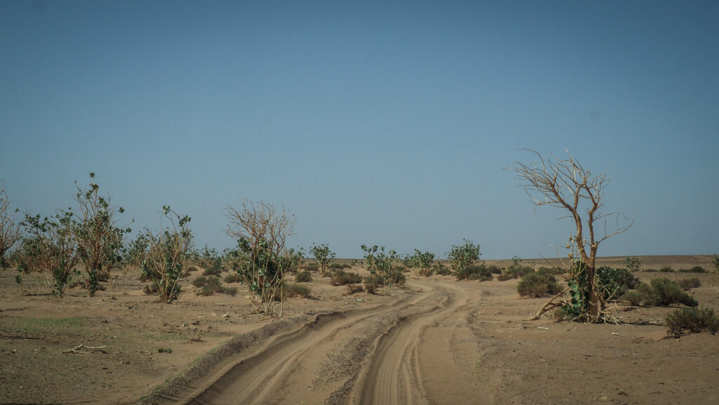 Erg Chigaga, Morocco