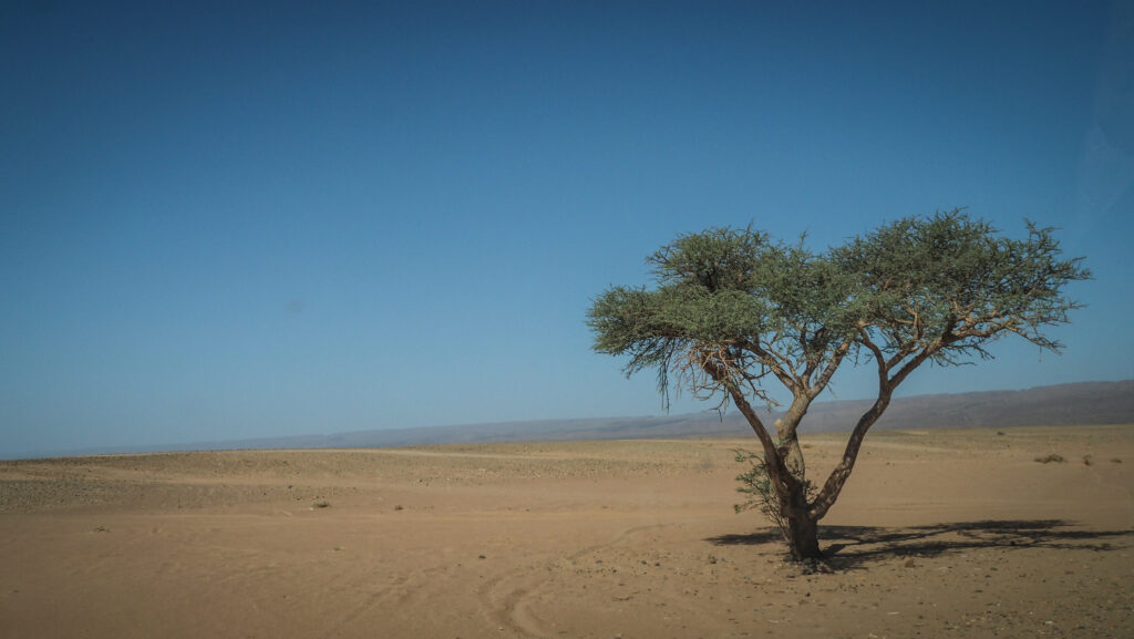 Erg Chigaga, Morocco