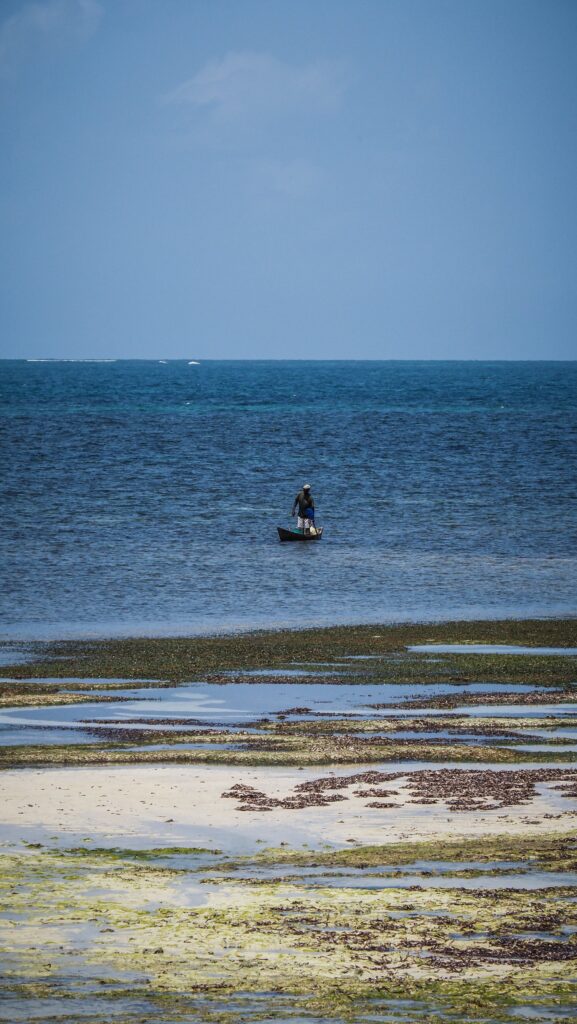 Bongoyo Island, Tanzania