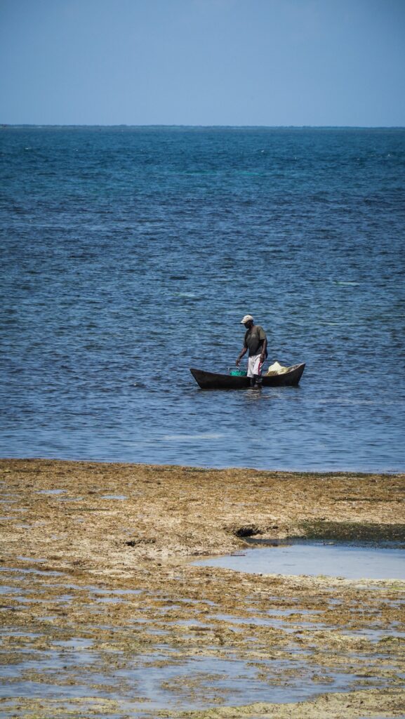 Bongoyo Island, Tanzania