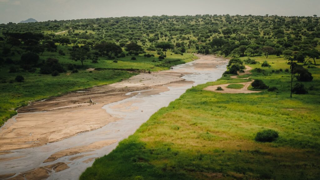 Tarangire, Tanzania