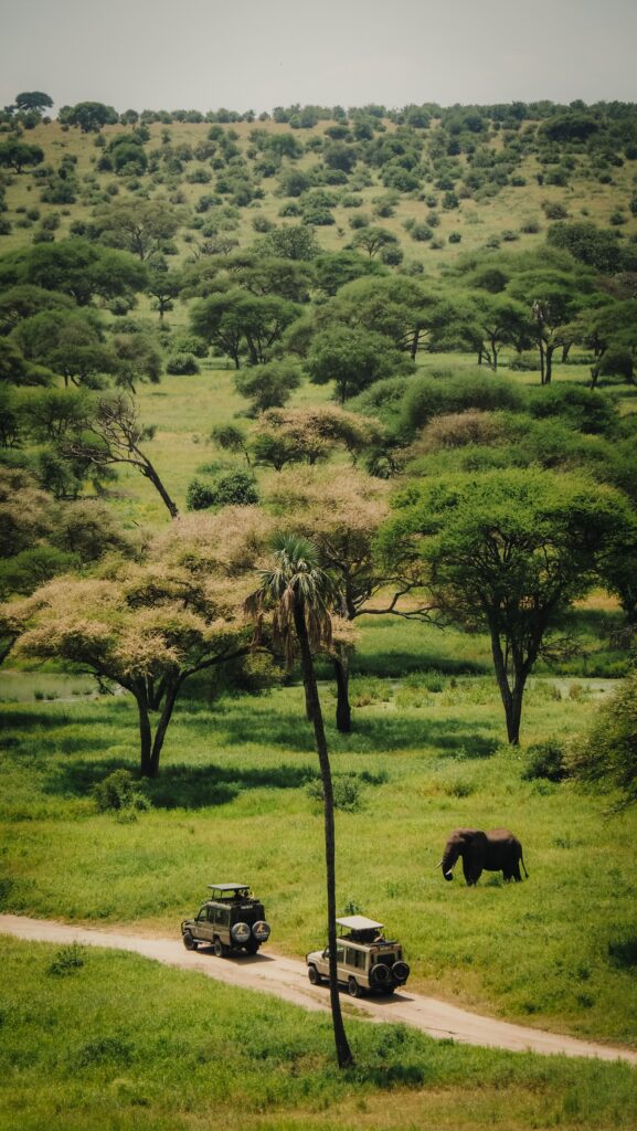 Tarangire, Tanzania