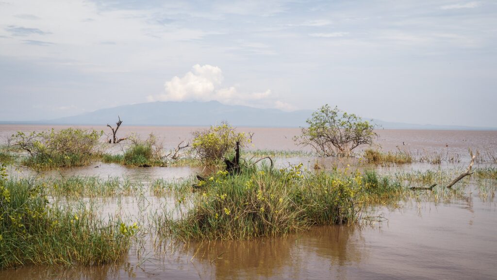 Lake Manyara, Tanzania