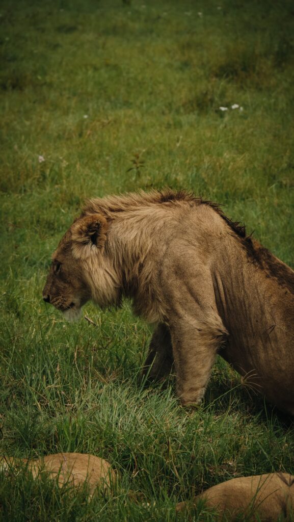 Ngorongoro Crater, Tanzania