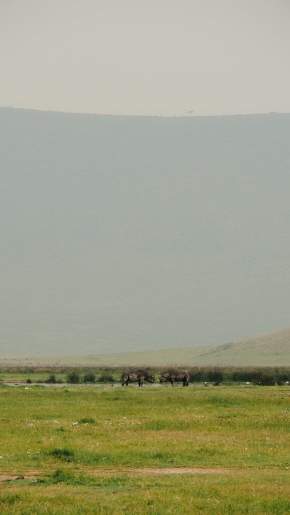 Ngorongoro Crater, Tanzania