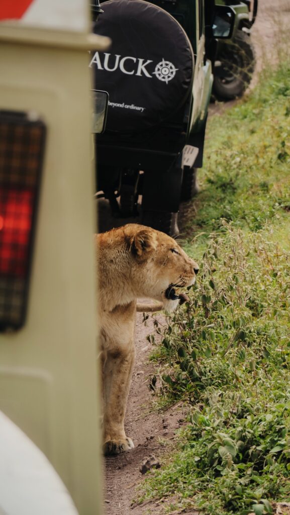 Ngorongoro Crater, Tanzania