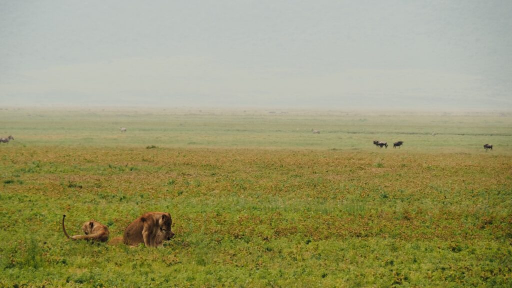 Ngorongoro Crater, Tanzania