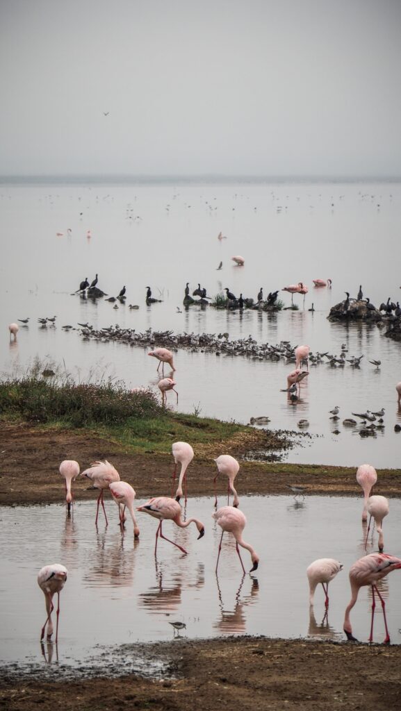 Ngorongoro Crater, Tanzania